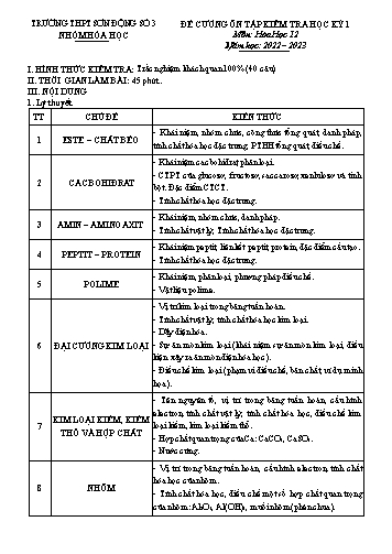 Đề cương ôn tập kiểm tra học kì I Hóa học 12 - Năm học 2022-2023 - Trường THPT Sơn Động số 3