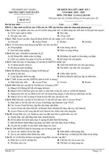 Đề kiểm tra giữa học kì I Tin học 12 - Mã đề 123 - Năm học 2024-2025 - Trường THPT Ngô Sĩ Liên (Có đáp án)