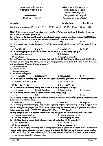 Đề kiểm tra giữa học kì II Hóa học 12 - Mã đề 103 - Năm học 2024-2025 - Trường THPT Bố Hạ (Có đáp án + Ma trận)