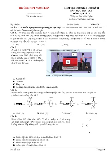 Đề kiểm tra giữa học kì II Vật lí 12 - Mã đề 201 - Năm học 2024-2025 - Trường THPT Ngô Sĩ Liên (Có đáp án + Ma trận)