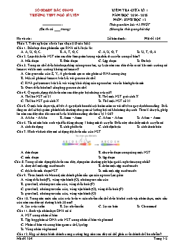 Đề kiểm tra giữa kì I Sinh học 12 - Mã đề 104 - Năm học 2024-2025 - Trường THPT Ngô Sĩ Liên (Có đáp án + Ma trận)