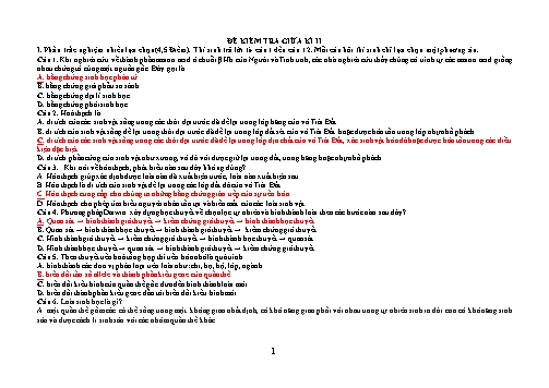 Đề kiểm tra giữa kì II Sinh học 12 (Có đáp án + Ma trận)