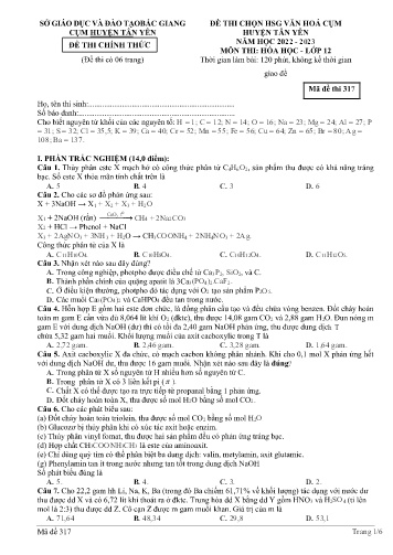 Đề thi HSG văn hóa cụm Huyện Tân Yên Hóa học 12 - Mã đề 317 - Năm học 2022-2023 - Sở GD&ĐT Bắc Giang (Có đáp án)