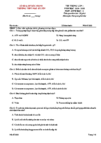 Đề thi tháng Sinh học 12 (Lần 1) - Mã đề 000 - Năm học 2024-2025 - Trường THPT Ngô Sĩ Liên (Có đáp án)