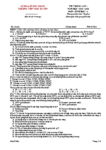Đề thi tháng Sinh học 12 (Lần 1) - Mã đề 403 - Năm học 2024-2025 - Trường THPT Ngô Sĩ Liên (Có đáp án)