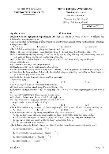 Đề thi thử rèn kĩ năng Hóa học 12 (Lần 1) - Mã đề 303 - Năm học 2024-2025 - Trường THPT Ngô Sĩ Liên (Có đáp án)