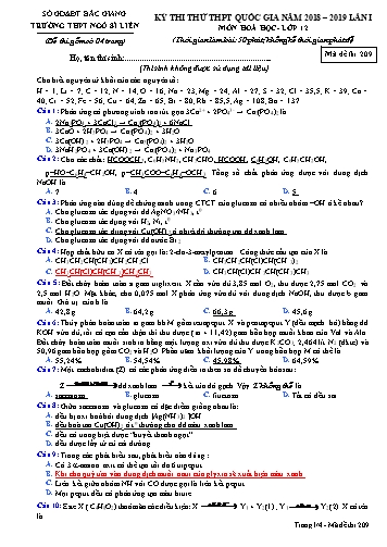 Đề thi thử THPT QG Hóa học 12 (Lần 1) - Mã đề 209 - Năm học 2018-2019 - Trường THPT Ngô Sĩ Liên (Có đáp án)