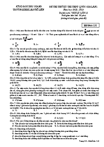 Đề thi thử THPT QG Vật lí 12 (Lần 1) - Mã đề 132 - Năm học 2018-2019 - Trường THPT Ngô Sĩ Liên (Có đáp án)