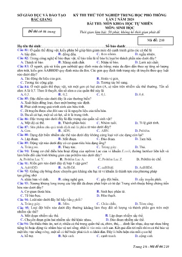 Đề thi thử tốt nghiệp THPT Sinh học (Lần 2) - Mã đề 210 - Năm học 2023-2024 - Sở GD&ĐT Bắc Giang (Có đáp án)