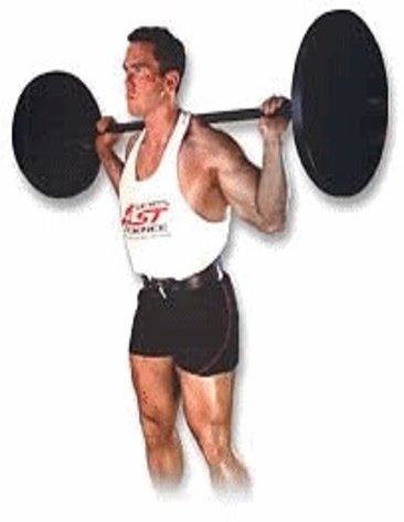 Tài liệu Tập thể hình trực tuyến theo phương pháp MAX-OT